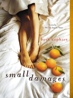 cover image of Small Damages